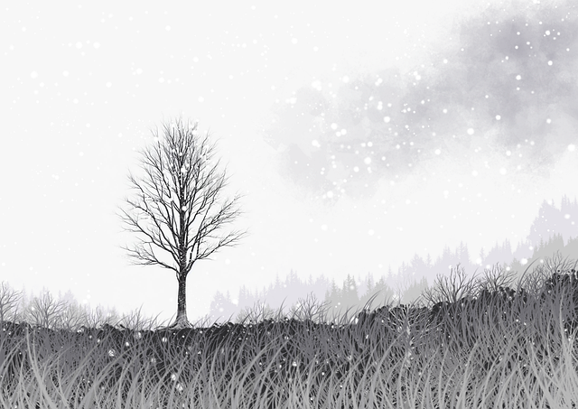 刚刚发布!黑料社app下载官网今日第一手内幕