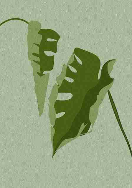 海角官网这次又放大招了,网友都在转发