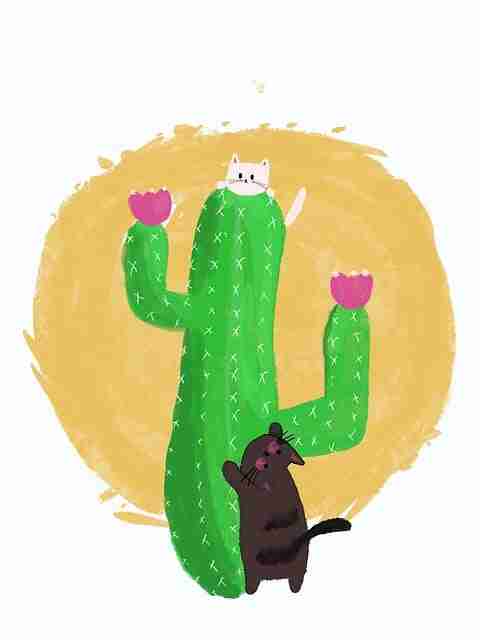 稀缺无删减版【燃情微澜】李敏镐×余男狂热暧昧珍稀加长无字版在线播放