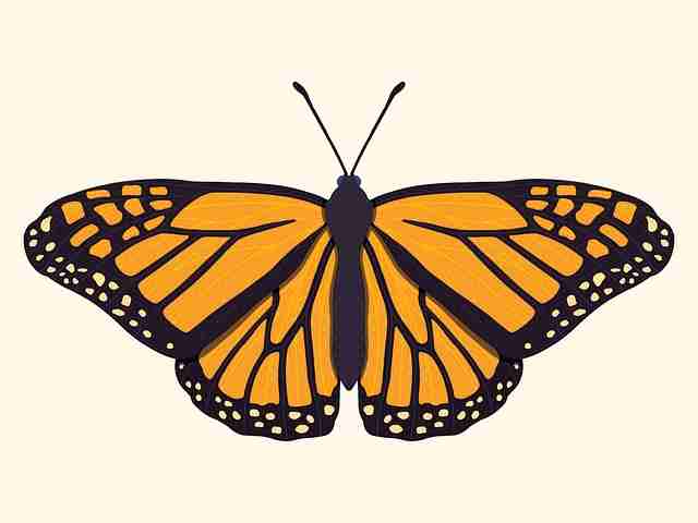 【火速收藏】51漫画 — 51爆料正版资源 — 吃瓜51 — 51漫画官网云端加速 — 51网网址官方导航 — 吃瓜 — 51网在线观看 — 51视频网站- Hits578